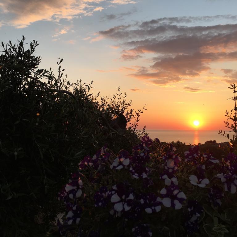 Villa Elenia Tsoukaládhes Exteriér fotografie